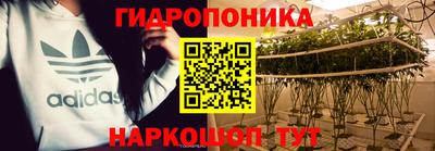 альфа пвп Новокубанск