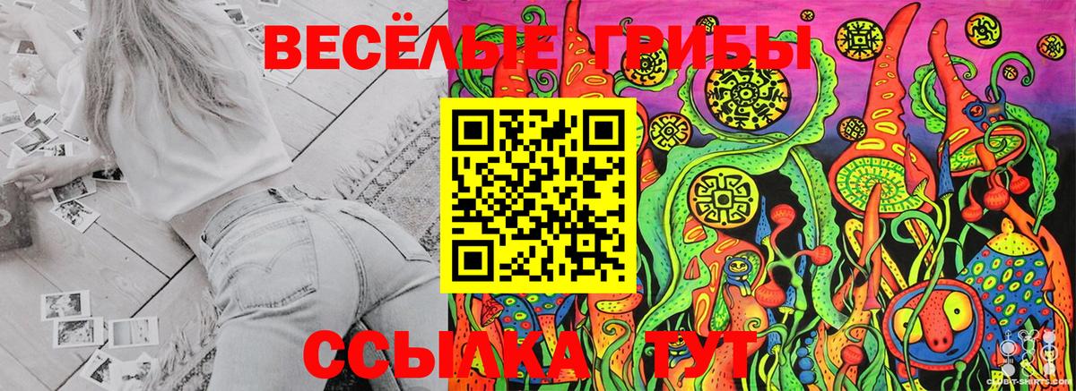 Псилоцибиновые грибы ЛСД Тула